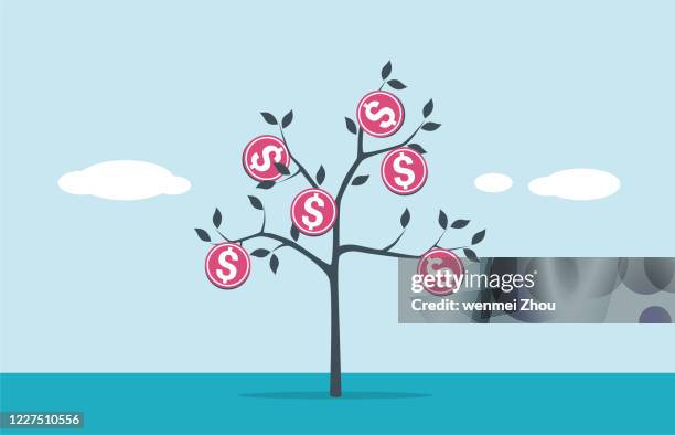 money tree - money tree stock illustrations