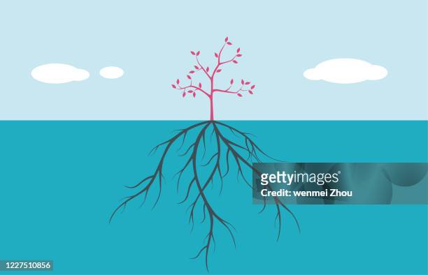 236 Plant With Roots Cartoon High Res Illustrations - Getty Images