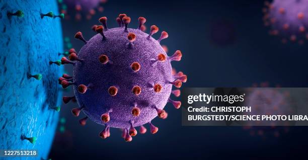 virus particle interacting with cell, illustration - sars stock illustrations