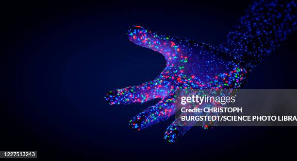 skin microbiota, conceptual illustration - microbiome stock illustrations