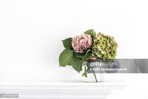 hydrangea flowers in a glass vase on a mantelpiece - hortensia stock-fotos und bilder