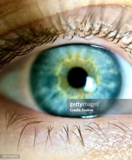 close-up of a blue eye - cornea stock pictures, royalty-free photos & images