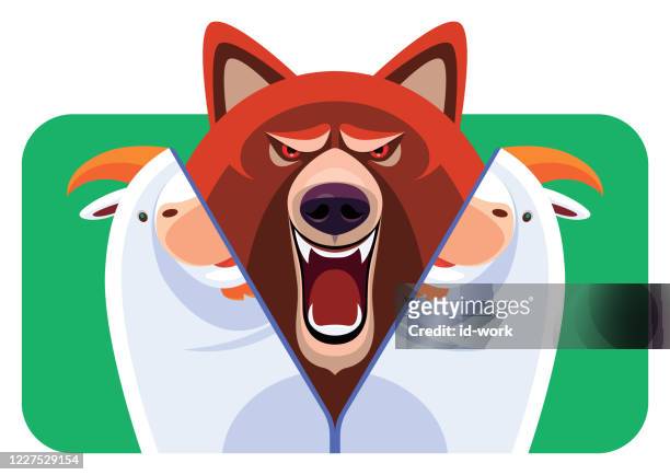 angry wolf in sheep suit - wolf sheep stock illustrations