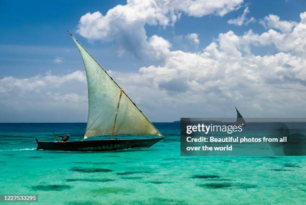 a dhow catching good wind - dhow stock pictures, royalty-free photos & images