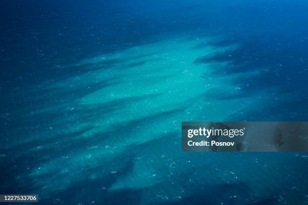 phytoplankton bloom in the great barrier reef - plancton photos et images de collection