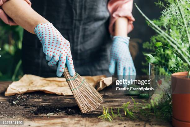 hands of a gardner cleaning the planitng worktop - dotted human body part stock pictures, royalty-free photos & images