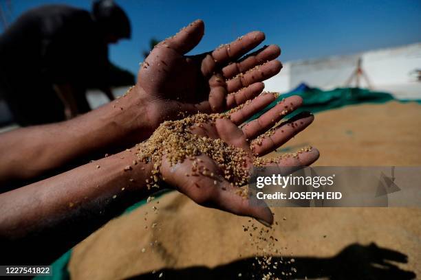 Wheat groats are milled during bulgur preparation in the Lebanese southern town of Marjayoun, on July 15, 2020.