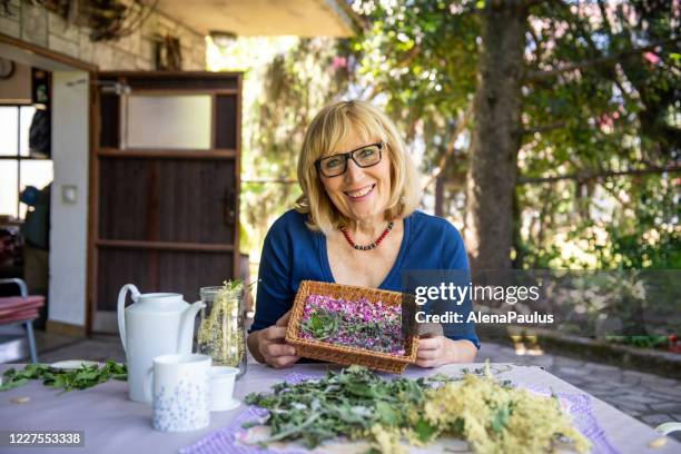 woman making homemade tea - dry herbs stock pictures, royalty-free photos & images