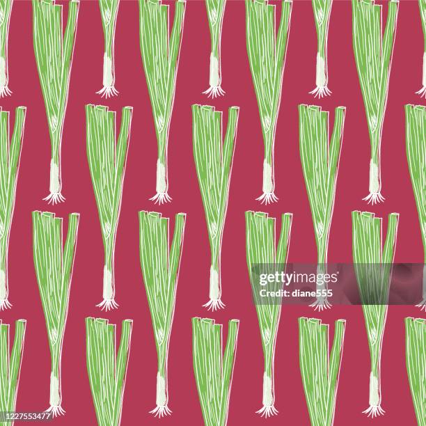 hand drawn scallions seamless pattern - spring onion stock illustrations