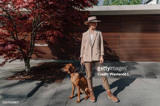 fashionable woman with her dog in the city - beige hat stock pictures, royalty-free photos & images