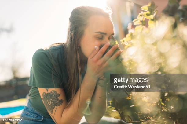 young woman smelling at herbs in garden - lemon balm stockfoto's en -beelden