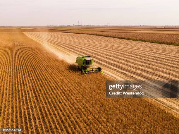 aerial view of combine harvester on a field of soybean - soybean harvest stockfoto's en -beelden