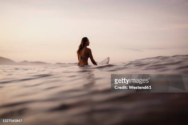 female surfer sitting on surfboard in the evening, costa rica - sitting on surfboard ストックフォトと画像
