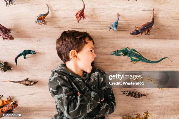 little boy lying on the floor between toy dinosaurs - toy animal stockfoto's en -beelden