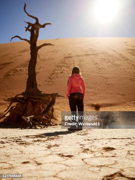 woman and a tree in the desert, deadvlei, namibia - dead vlei stockfoto's en -beelden