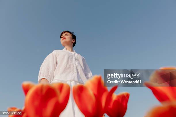 portrait of woman dressed in white standing in tulip field agaist blue sky - froschperspektive stock-fotos und bilder