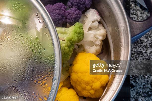 composition of multicolored cauliflower sprigs - a vapor - fotografias e filmes do acervo