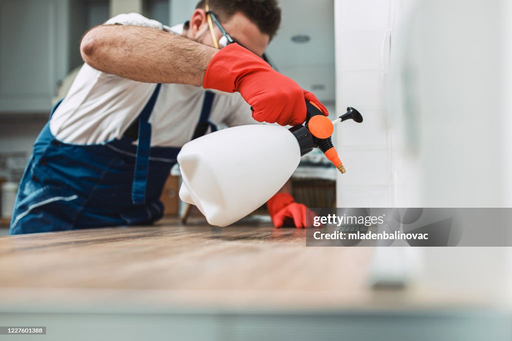 Exterminator