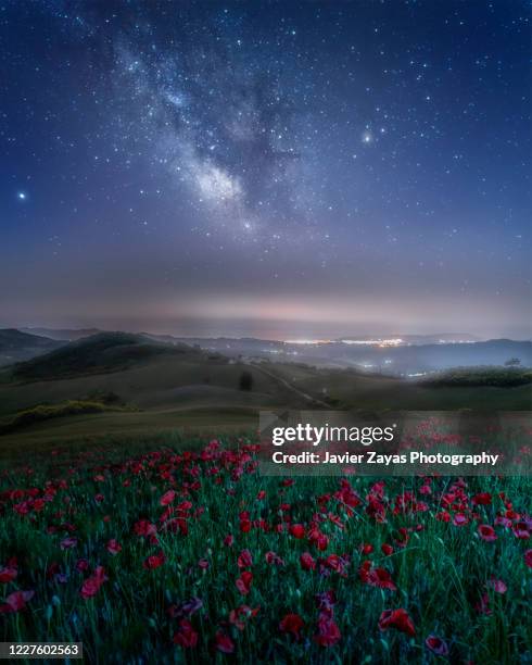 Spring Fields Night Flower Field At Night Photos and Premium High Res Pictures - Getty Images