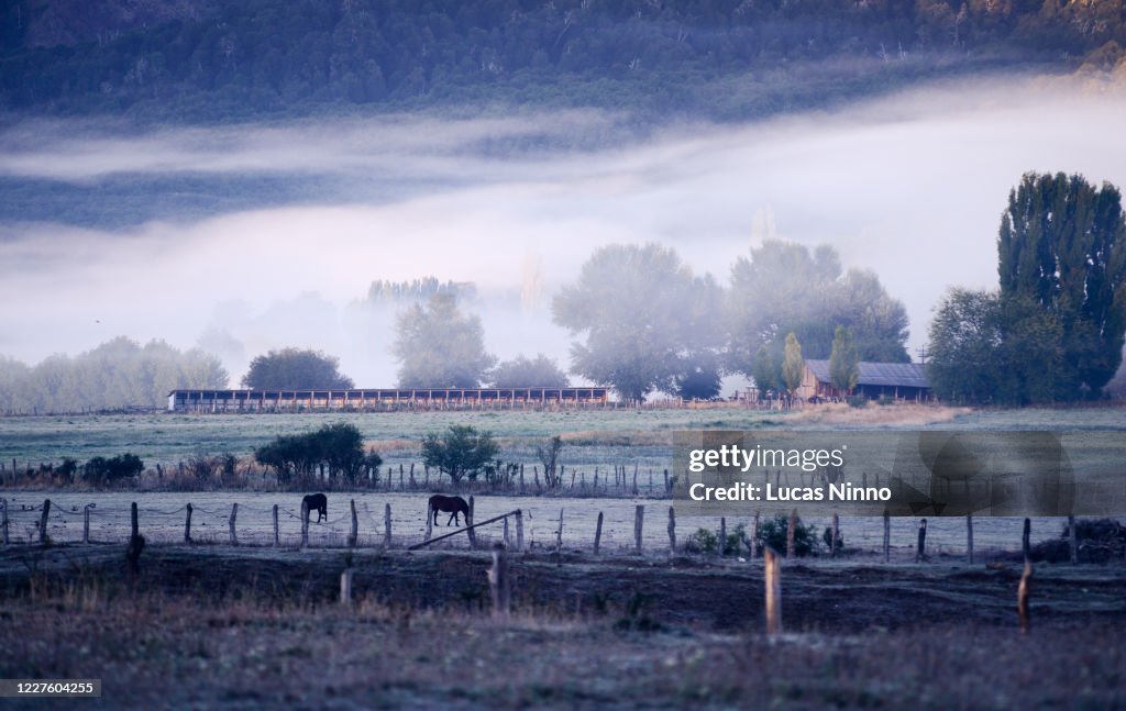 Morning Rural Scene Morning Scene In A Farm Rural Area Foto de stock - Getty Images