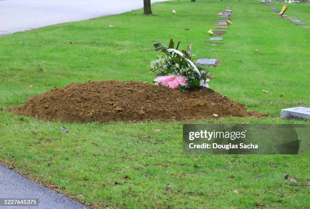 fresh grave site after recent burial - 墳地 個照片及圖片檔