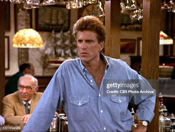 Sam Danson Ted Danson Sam Malone Photos and Premium High Res Pictures - Getty Images