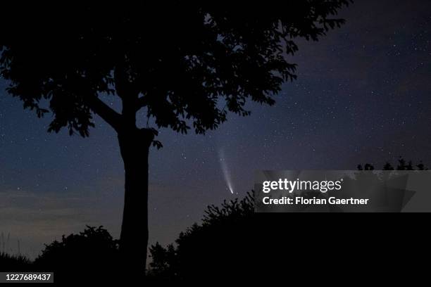 The comet C/2020 F3 is pictured on July 19, 2020 in Waldhufen, Germany. The comet was discovered in spring 2020 and is visible to the naked eye in...