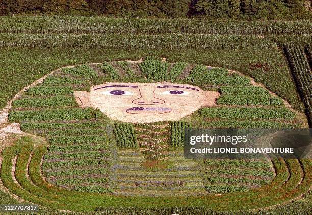 Vue aérienne, le 18 juillet 1999, du site où est implanté le Labyrinthus de la vallée de la Dordogne à Gluges, près de Martel, parc d'attractions...