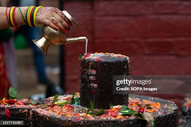 Nepali Hindu devotee offers cow milk to a Shiva lingam next to the bagmati River during the first day of the Sarwan Brata festival the month of...