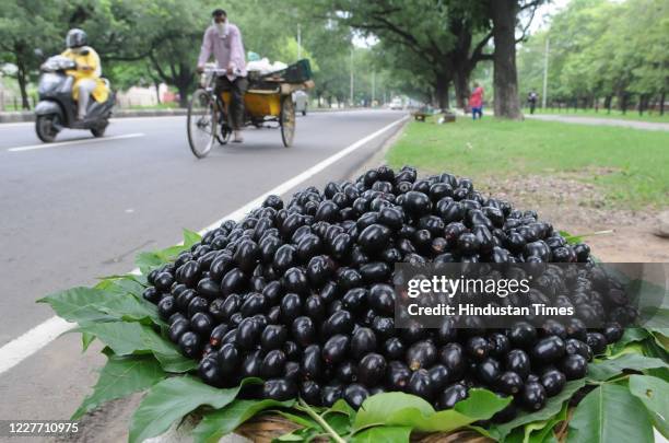 Pile of fresh Jamun fruit seen at a roadside stall, at Sector 18/21 dividing road on July 20, 2020 in Chandigarh, India.