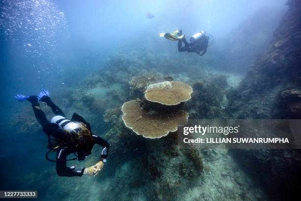 This photo taken on July 16, 2020 shows recreational scuba divers in Koh Tao island in the southern Thai province of Surat Thani.
