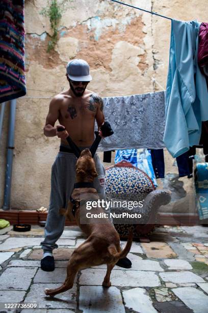 Tunis, Tunisia, 14 March 2016. Rapper Ale plays with his dog.