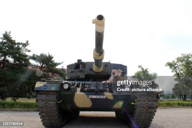 July 2020, Hungary, Tata: A Leopard 2 A4 tank, which was delivered from Germany for training purposes to the 25th Rifle Brigade of the Hungarian...