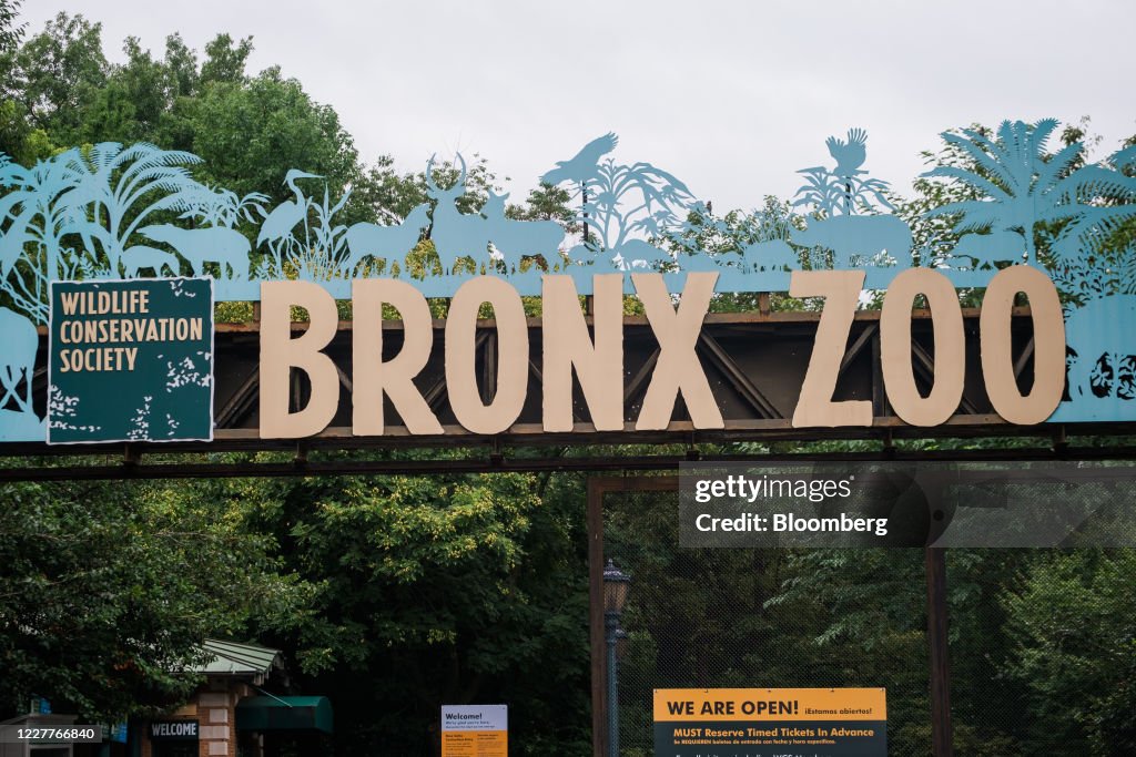 The Bronx Zoo Reopens To The Public As New York Enters Phase Four