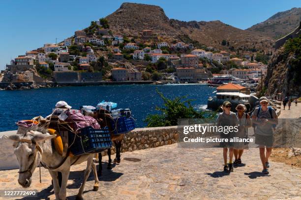 July 2020, Greece, Hydra: Tourists and heavily loaded mules walk on a paved path across the island. The island of Hydra, which covers almost 50...