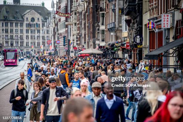 The tram area full with people. Crowded with tourists shopping on the streets and the Dam full of visitors with one-way traffic in the Kalverstraat,...