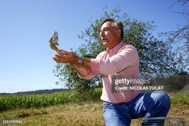 Le président de la Ligue de protection des oiseaux , Allain Bougrain-Dubourg, remet en liberté un ortolan prisonnier d'un piège de braconneurs le 30...