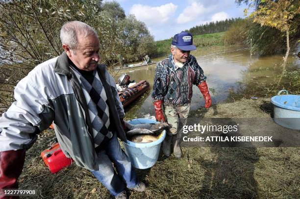 Marcal Fish 67 Dobson River Stock Photos, High-Res Pictures, and Images - Getty Images