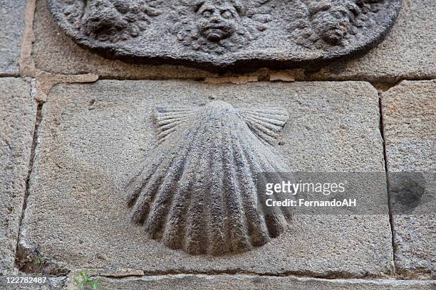 shell symbol der st james fahrt - santiago de compostela cathedral stock-fotos und bilder