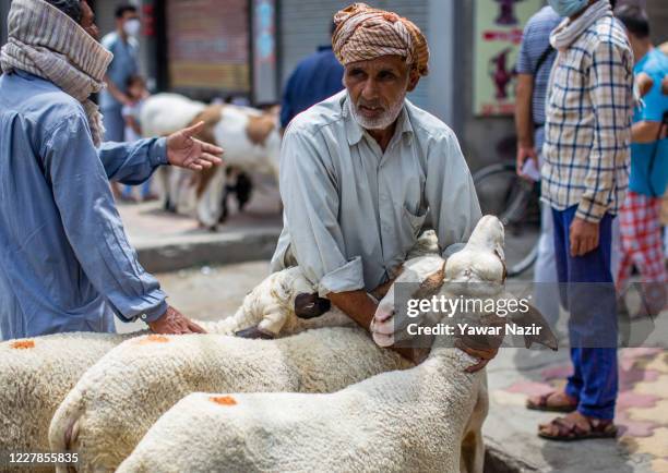 Kashmiri shepherd holds sacrificial sheep, to sell them in a market, before the upcoming Muslim festival of Eid al-Adha on July 31, 2020 in Srinagar,...