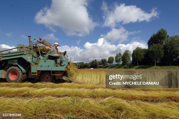 Un agriculteur récolte du lin, le 18 juillet 2007, dans un champ à Audrieu. Des pluies fréquentes depuis un mois dans la région on abimé les champs....