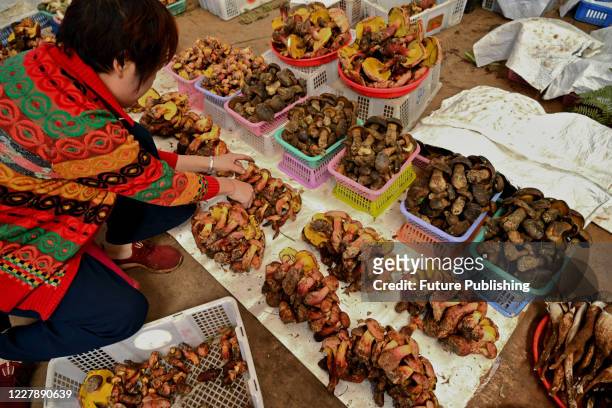 People trade in the country's largest market for wild mushrooms in Kunming in southwest China's Yunnan province Thursday, July 30, 2020.- PHOTOGRAPH...
