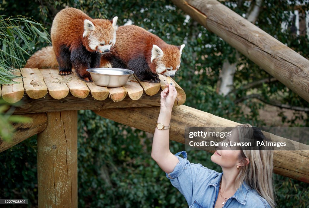 Yorkshire Wildlife Park expanded animal reserves