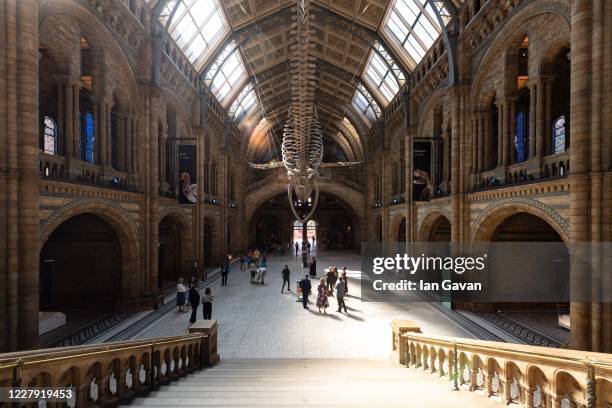 Members of the public enjoy the lobby exhibits during the reopening of the Natural History Museum on August 5, 2020 in London, England. The museum...