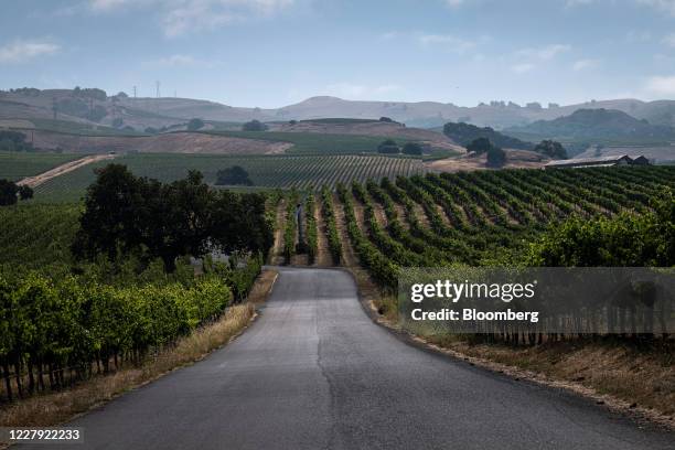 Vineyards stand in Napa, California, U.S., on Wednesday, July 29, 2020. From California's wine country to Colorado's ski towns and Floridas beaches,...