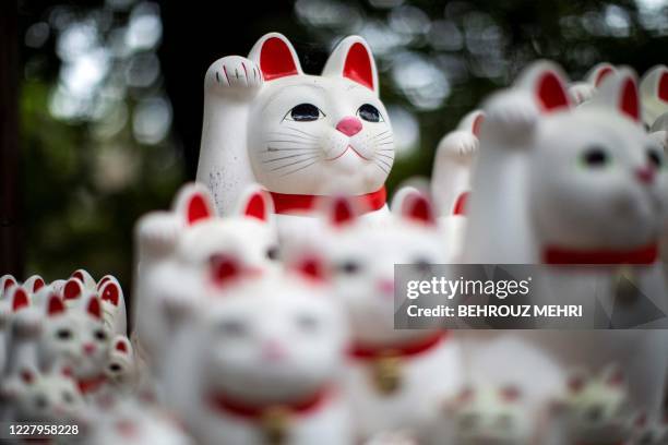 Maneki-neko statues, also known as beckoning cat, are seen at Gtokuji temple in the International Cat Day in Tokyo on August 8, 2020. Tokyo's...