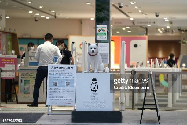 Statue of the white dog mascot 'Oto-san' sits in front of a SoftBank Corp. Store in Tokyo, Japan, on Friday, Aug. 7, 2020. After reporting record...