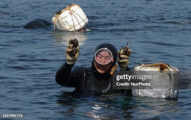 Pearl divers landing after catch the seafood near Jeju Sea in Jeju Island, South Korea, on August 24, 2003.