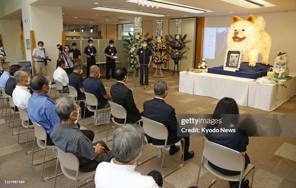 Gathering in memory of Akita dog Wasao