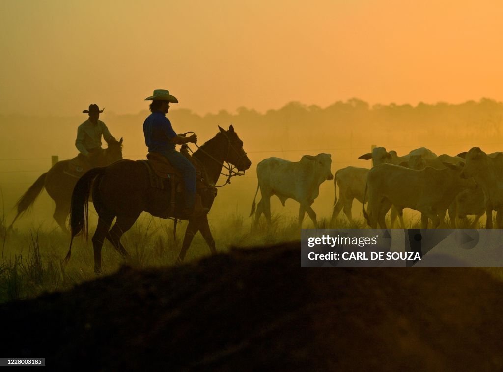 BRAZIL-ECONOMY-CATTLE